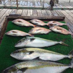 海の釣堀 海恵 釣果
