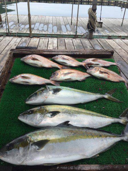 海の釣堀 海恵 釣果