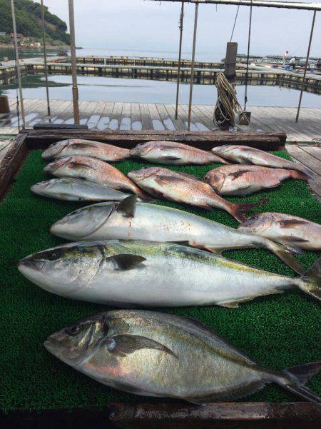海の釣堀 海恵 釣果