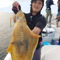 ソルトウォーターガイドフレンズ 釣果