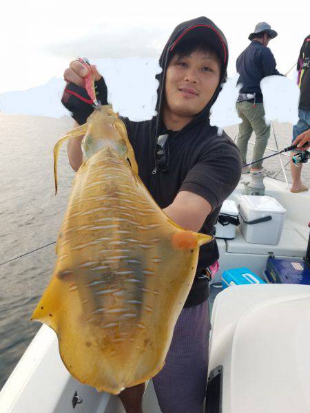 ソルトウォーターガイドフレンズ 釣果