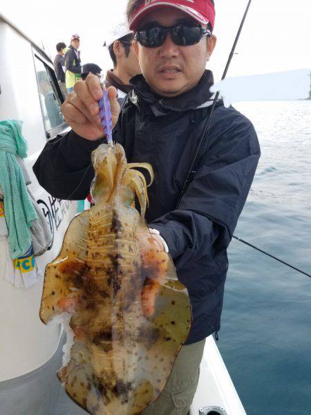 ソルトウォーターガイドフレンズ 釣果