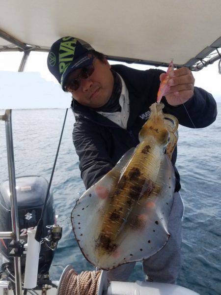 ソルトウォーターガイドフレンズ 釣果