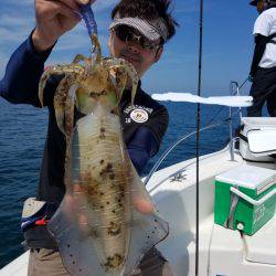 ソルトウォーターガイドフレンズ 釣果