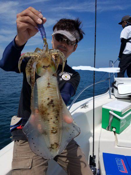 ソルトウォーターガイドフレンズ 釣果