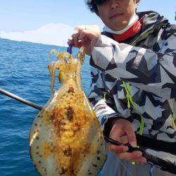 ソルトウォーターガイドフレンズ 釣果