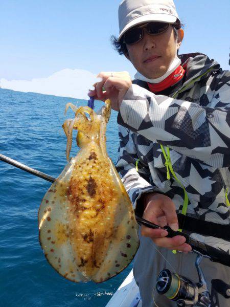 ソルトウォーターガイドフレンズ 釣果