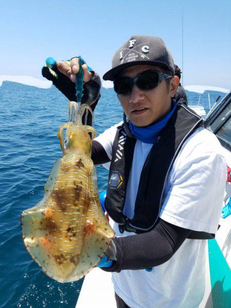 ソルトウォーターガイドフレンズ 釣果