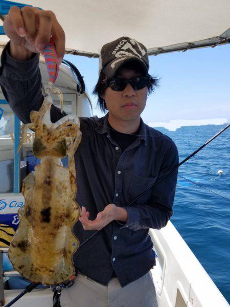 ソルトウォーターガイドフレンズ 釣果