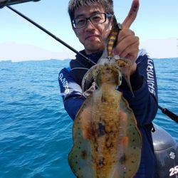 ソルトウォーターガイドフレンズ 釣果