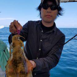 ソルトウォーターガイドフレンズ 釣果