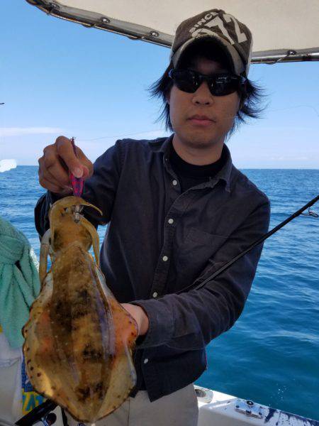 ソルトウォーターガイドフレンズ 釣果