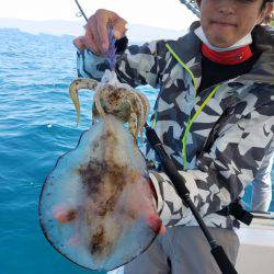 ソルトウォーターガイドフレンズ 釣果