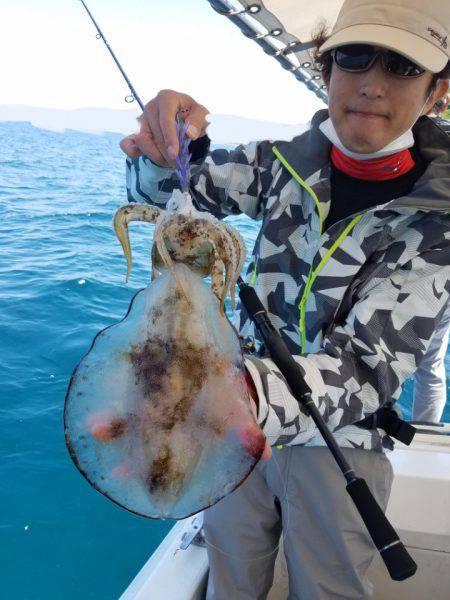 ソルトウォーターガイドフレンズ 釣果