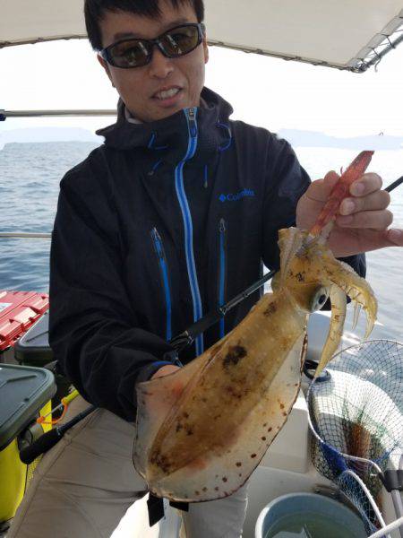 ソルトウォーターガイドフレンズ 釣果