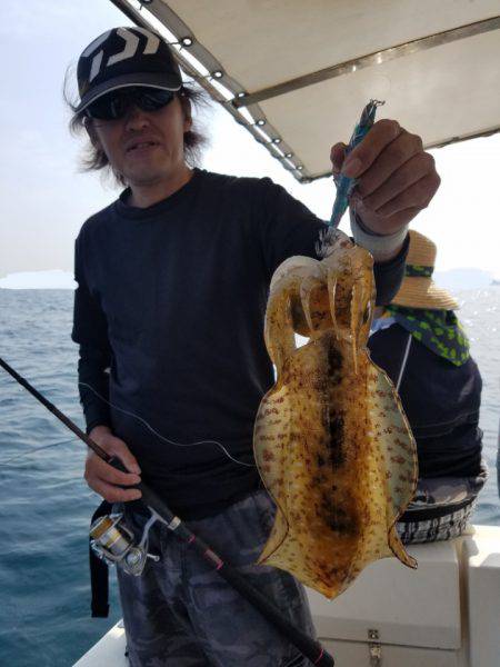 ソルトウォーターガイドフレンズ 釣果