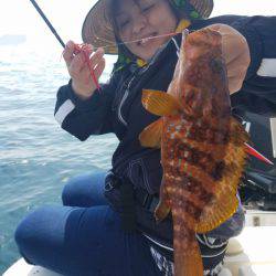 ソルトウォーターガイドフレンズ 釣果