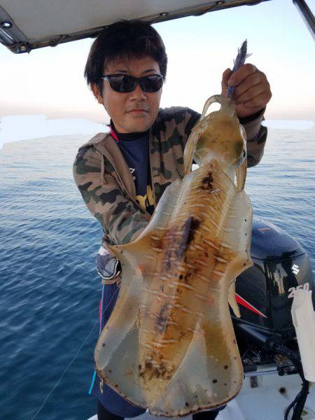 ソルトウォーターガイドフレンズ 釣果