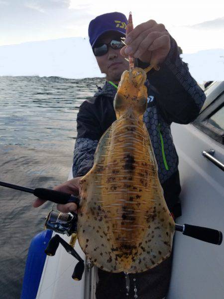 ソルトウォーターガイドフレンズ 釣果