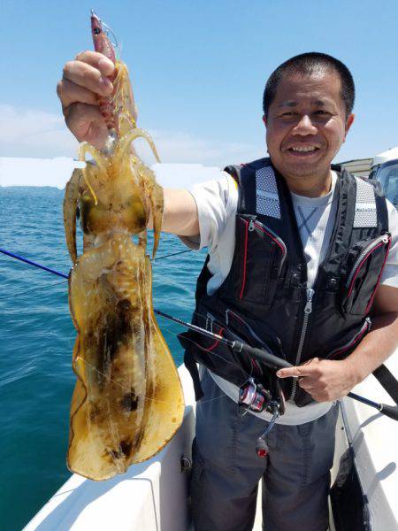 ソルトウォーターガイドフレンズ 釣果