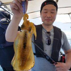 ソルトウォーターガイドフレンズ 釣果