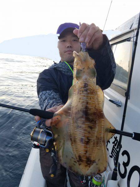 ソルトウォーターガイドフレンズ 釣果