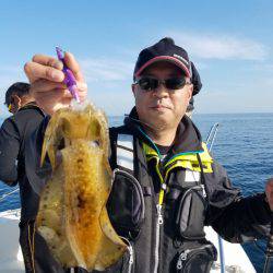 ソルトウォーターガイドフレンズ 釣果