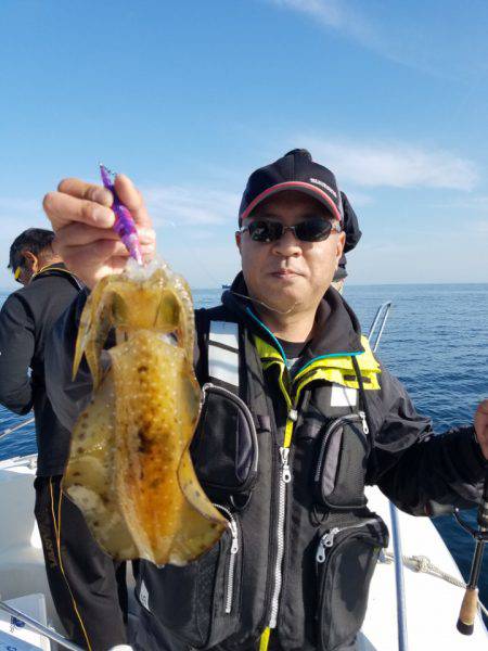 ソルトウォーターガイドフレンズ 釣果