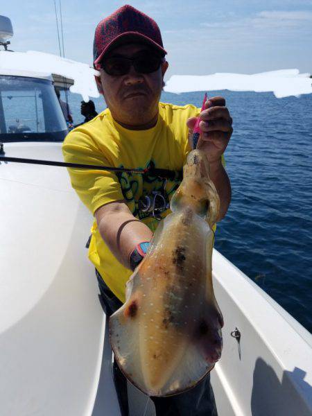 ソルトウォーターガイドフレンズ 釣果