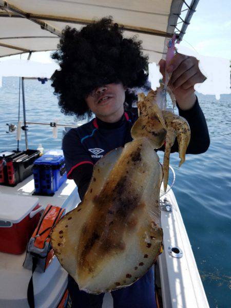 ソルトウォーターガイドフレンズ 釣果