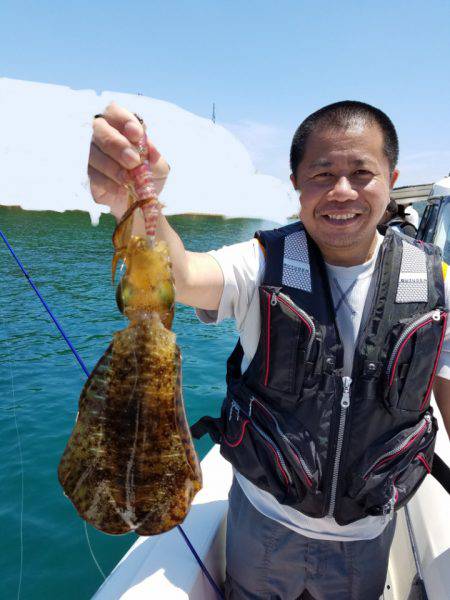 ソルトウォーターガイドフレンズ 釣果