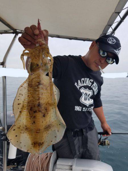 ソルトウォーターガイドフレンズ 釣果