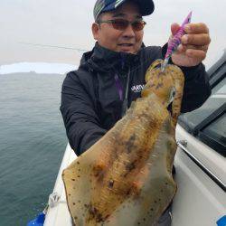 ソルトウォーターガイドフレンズ 釣果