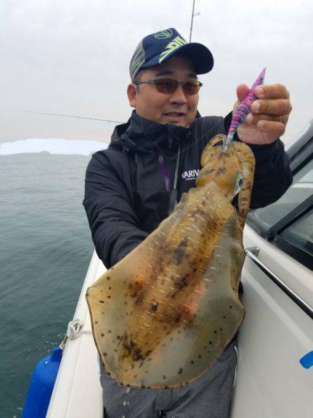 ソルトウォーターガイドフレンズ 釣果