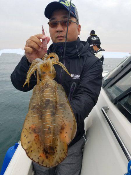 ソルトウォーターガイドフレンズ 釣果