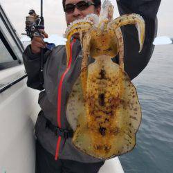 ソルトウォーターガイドフレンズ 釣果