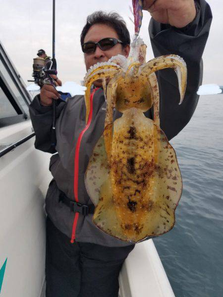 ソルトウォーターガイドフレンズ 釣果