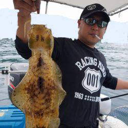 ソルトウォーターガイドフレンズ 釣果