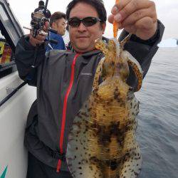 ソルトウォーターガイドフレンズ 釣果