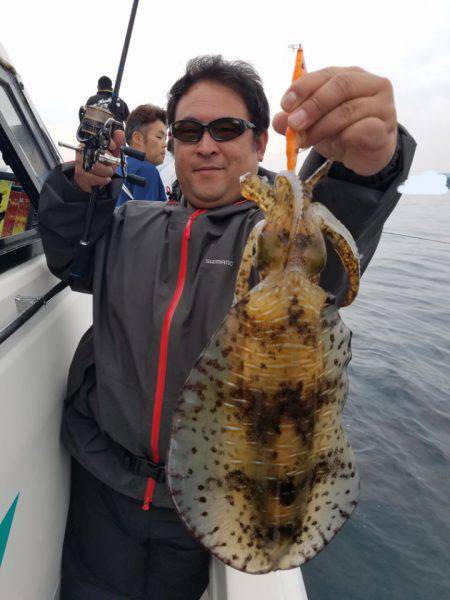 ソルトウォーターガイドフレンズ 釣果