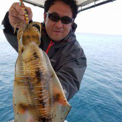 ソルトウォーターガイドフレンズ 釣果