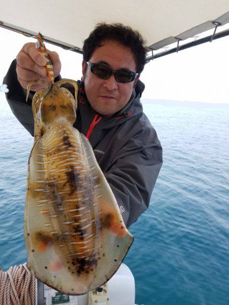 ソルトウォーターガイドフレンズ 釣果