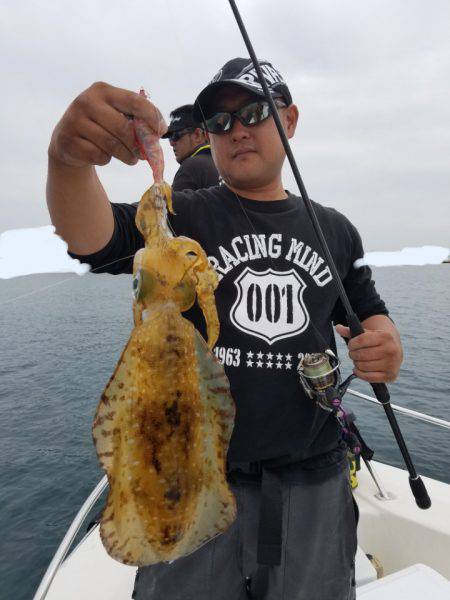 ソルトウォーターガイドフレンズ 釣果