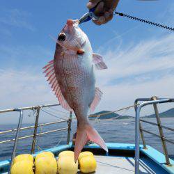 みやけ丸 釣果