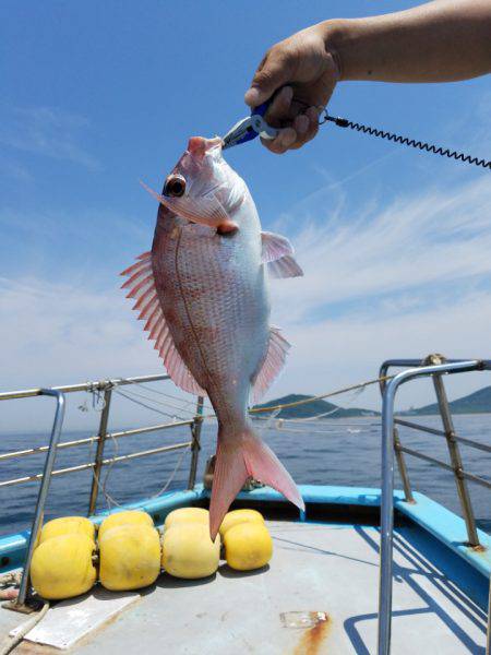 みやけ丸 釣果