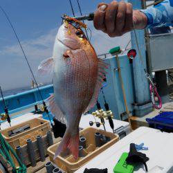 みやけ丸 釣果