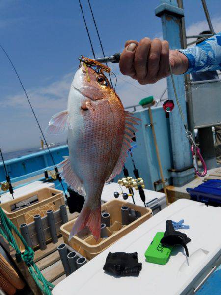 みやけ丸 釣果