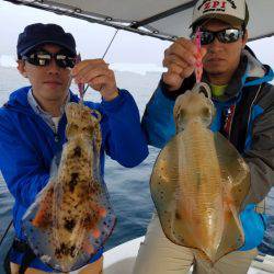 ソルトウォーターガイドフレンズ 釣果