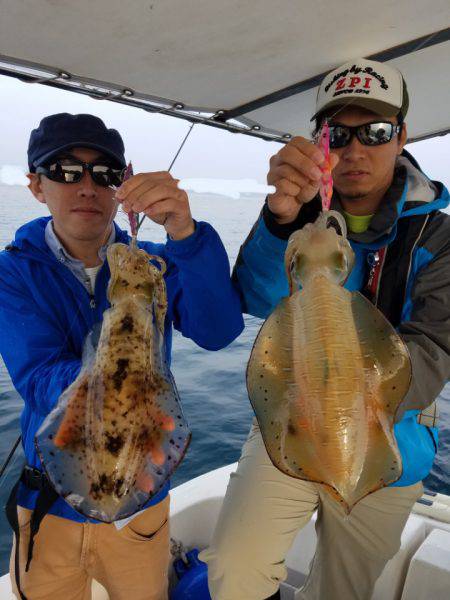 ソルトウォーターガイドフレンズ 釣果