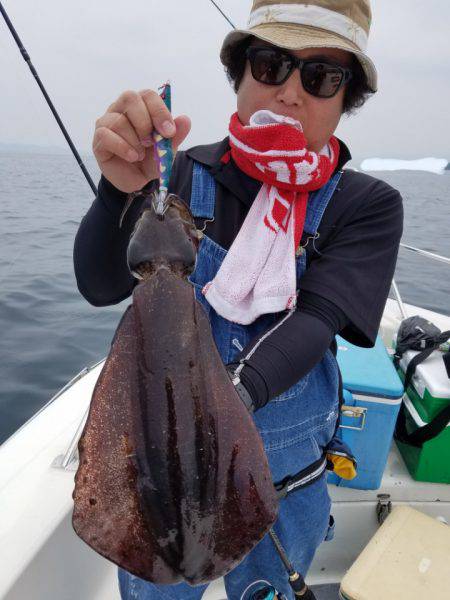 ソルトウォーターガイドフレンズ 釣果